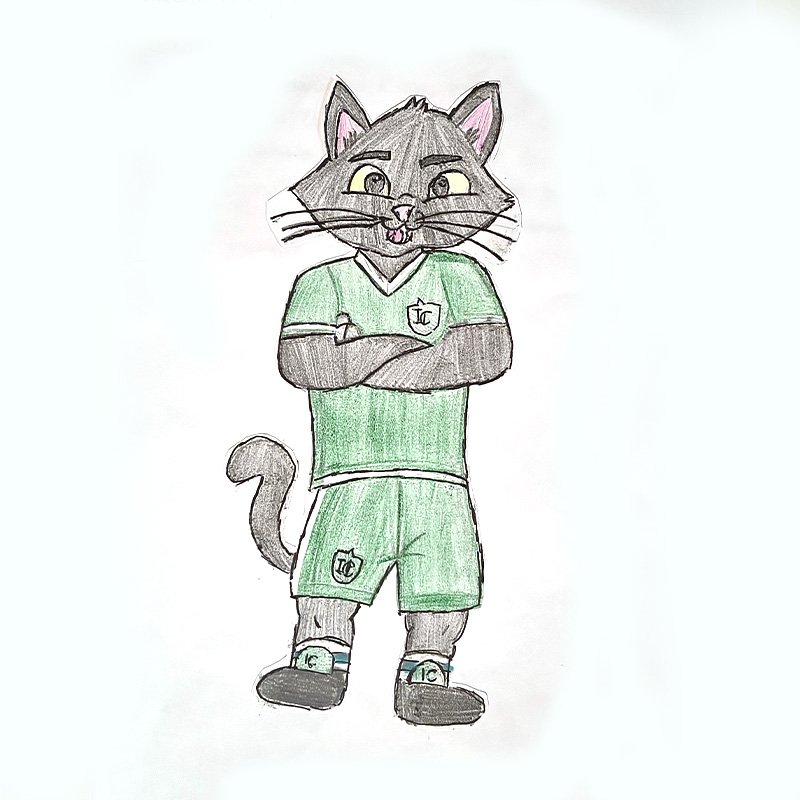 Desenho de Gato, por Leticia Escaramai