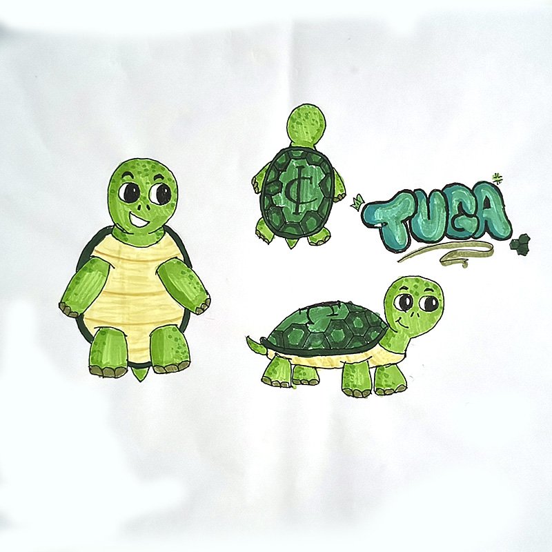 Desenho de Tartaruga, por Clara Crozara